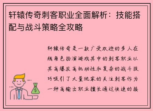 轩辕传奇刺客职业全面解析：技能搭配与战斗策略全攻略